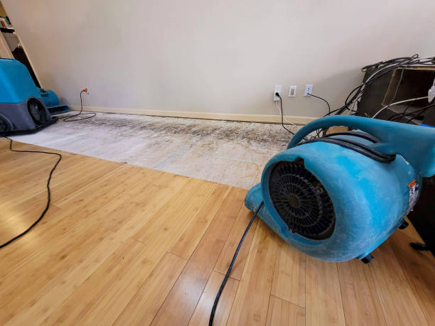 Professional Sewage Cleanup technician working in Bordentown, NJ